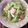 めんぼっこ's cooksnap of when they made ウインナーとキャベツのサラダ.