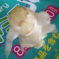 Célia.'s cooksnap of when they made 2度すっきり！レタスの芯の取り方.