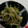 のじまさん's cooksnap of when they made 油揚げとピーマンの炒め煮.