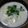 sunnnny's cooksnap of when they made ＊長芋のぬくぬく汁＊.