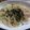 takamone's cooksnap of when they made お子様大好き！クリームたらツナパスタ.
