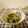 ローズレース's cooksnap of when they made ゴーヤとえのき＊おかか和え.