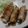 あやこうへい's cooksnap of when they made 豚肉のモロヘイヤ巻き(ショウガ焼き）.