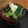 みみんご。's cooksnap of when they made 超簡単☆きゅうりの即席漬け.