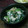 けろりす's cooksnap of when they made ほうれん草とにんじんの白和え.