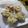 miyuki12's cooksnap of when they made ちょうちょうの卵焼き♪.