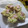 miyuki12's cooksnap of when they made ちょうちょうの卵焼き♪.