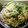 saddlebag's cooksnap of when they made アスパラとベーコンのパスタ★オイル系.
