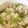 おつね's cooksnap of when they made 胡桃・枝豆と　ハーブ塩・塩昆布の混ぜご飯.