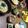 ぐっさん★☆'s cooksnap of when they made 材料３つ★きゅうりモミモミ塩麹漬け.