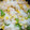 かぴーな's cooksnap of when they made やさしい甘さ☆とうもろこしご飯.
