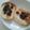 chiaki616's cooksnap of when they made 餃子の皮でスイーツ♪.