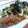 littlelily2007's cooksnap of when they made 究極のふわとろ！長芋のとろろ焼き.