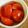 びあわいん's cooksnap of when they made 塩トマト.