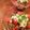 tomokichi0907's cooksnap of when they made トマト＆おろしでさっぱり　肉野菜丼.