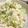 ♥ゆみ♥'s cooksnap of when they made おからのポテトサラダ風.