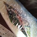ゆぅぷん's cooksnap of when they made キュウリ・ツナの胡麻マヨサラダ.