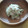 パフェ☆'s cooksnap of when they made 瓜の昆布茶わさび醤油マヨネーズ和え.