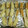 puti0612's cooksnap of when they made ちくわのＷからし明太マヨチーズ焼き♪.