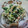 ながれまま's cooksnap of when they made 豆腐の水切りしなくてOK！簡単白和え.