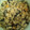aggchan's cooksnap of when they made おからの炒り煮.
