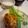 米３９'s cooksnap of when they made コンビーフコロッケ.