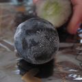 さやポニョ's cooksnap of when they made 氷ぶどう.