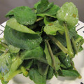 PARNELL's cooksnap of when they made クレソンの和風サラダ。.
