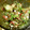NAONA0's cooksnap of when they made オクラと梅のかつおぶし和え.