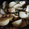 ぽぽぺっぺ's cooksnap of when they made とろ甘♡かぶと厚揚げの鶏そぼろあん.