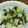 QPはにー's cooksnap of when they made レモン風味のルッコラとじゃがいものサラダ.