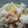 shippo1011's cooksnap of when they made もろこしアイス.