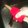 ルリナ's cooksnap of when they made 簡単☆ゴボウの皮むき.