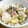 matyapy's cooksnap of when they made さつまいもごはん.