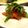 noamanma's cooksnap of when they made イタリアンな冷奴☆.