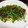 かずぅマム's cooksnap of when they made 簡単でおいしい♪かつおのたたき.