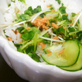 キャシーキャサリン's cooksnap of when they made 鮭フレークとカイワレ大根の混ぜ寿司.