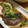 pyorohane's cooksnap of when they made とろとろ茄子と梅♪カレイの煮付け.