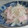 きらり流れ星's cooksnap of when they made 新玉ねぎとハムのマリネ.
