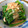 ゆりぼぉ's cooksnap of when they made 菜の花の金のごまだれ和え.