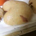 萌葱いろ's cooksnap of when they made クランベリーのラブリィ❤パン.