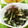 ひより♪'s cooksnap of when they made 簡単♪✿ひじきと❀胡瓜の✿胡麻サラダ.