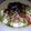 まろんクン's cooksnap of when they made アボガドと豆腐のマヨ味噌だれ丼.