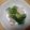 おけいはん０９１３'s cooksnap of when they made 水菜と練り物の辛子酢味噌和え.
