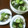 ゆっかka's cooksnap of when they made きゅうりと新玉ねぎの水キムチ。.
