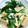 ともか。's cooksnap of when they made 高野豆腐ときぬさやの卵とじ.