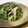 タロすけ's cooksnap of when they made 春菊とえのきのにんにく胡麻和え　.