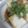 網野さん＃'s cooksnap of when they made ノンオイルゴマドレッシング.
