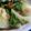 tkys's cooksnap of when they made 干しエビとチンゲン菜の蒸し炒め.