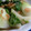 tkys's cooksnap of when they made 干しエビとチンゲン菜の蒸し炒め.